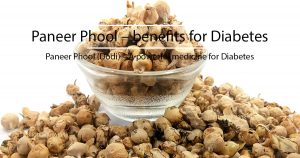 Read more about the article Paneer Phool (Dodi) – A powerful medicine for Diabetes