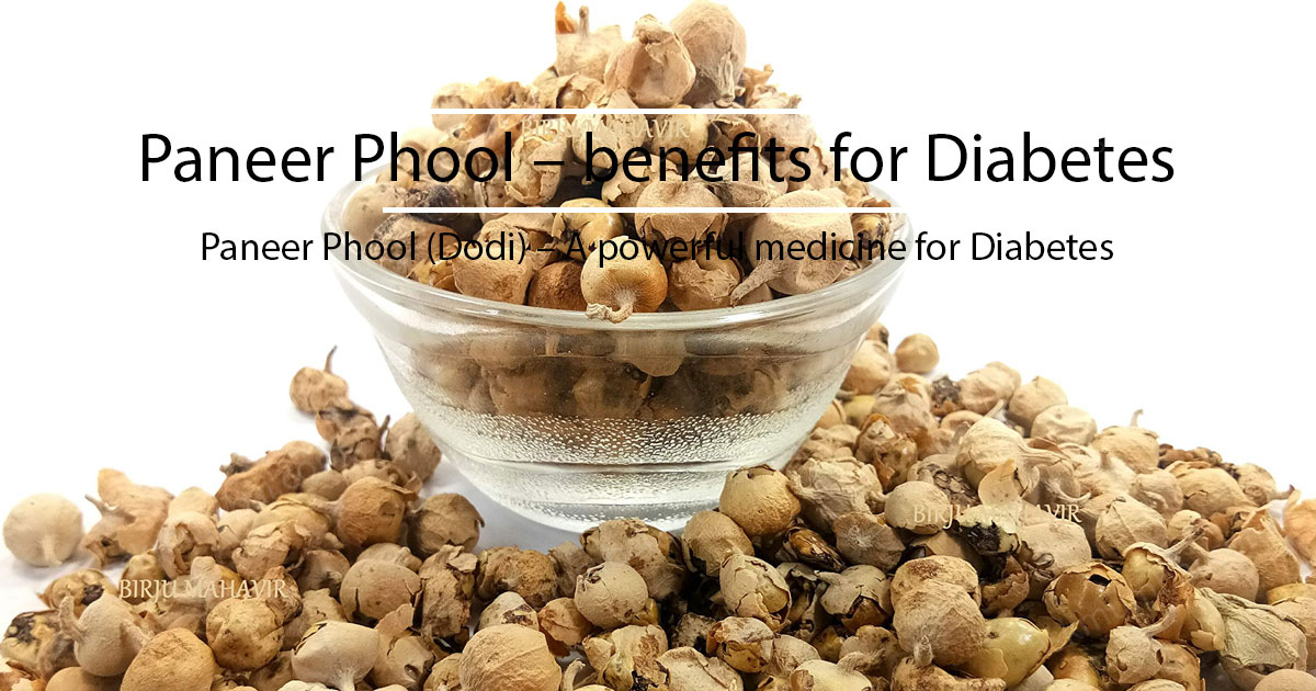 You are currently viewing Paneer Phool (Dodi) – A powerful medicine for Diabetes