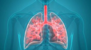 Read more about the article Harmful Food for Lung: फेफड़ों को सीधा नुकसान पहुंचाती हैं ये चीजें