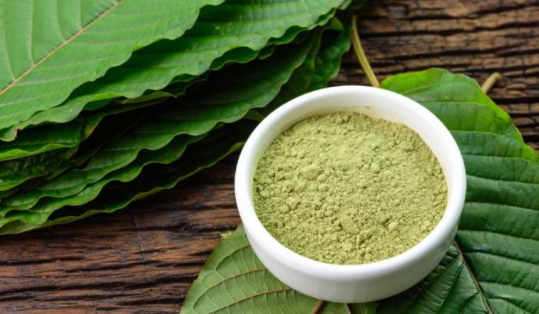 You are currently viewing Health Benefits of Kratom for Fitness