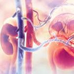 Kidney Health: आपकी किडनी को सीधा नुकसान पहुंचाती हैं ये 5 चीजें