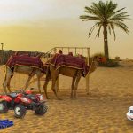 Are Your Plan the Tour of Desert safari Dubai