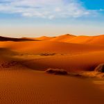 Best Tour activities of Dubai Tour Desert Safari