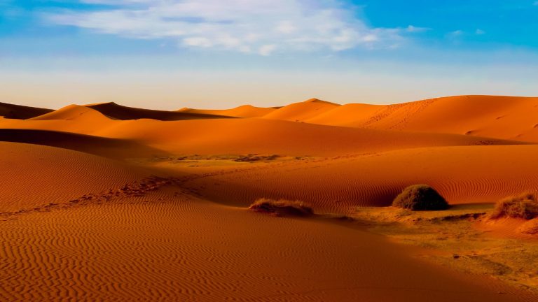 Best Tour activities of Dubai Tour Desert Safari