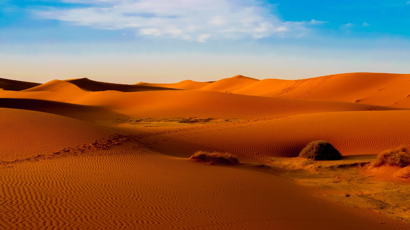You are currently viewing Best Tour activities of Dubai Tour Desert Safari