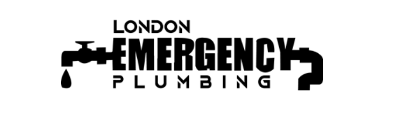 You are currently viewing Hire London Plumbers for Emergency Plumbing Works during Coronavirus