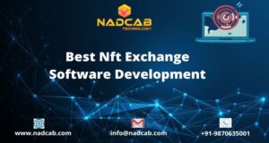 Read more about the article Nft Exchange Platform Development Company