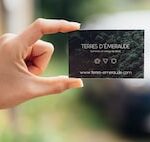 FAQs About Digital Business Cards & Digital Business Card Apps